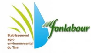 logo_fonlabour