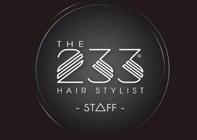 COIFFEUR LE 233