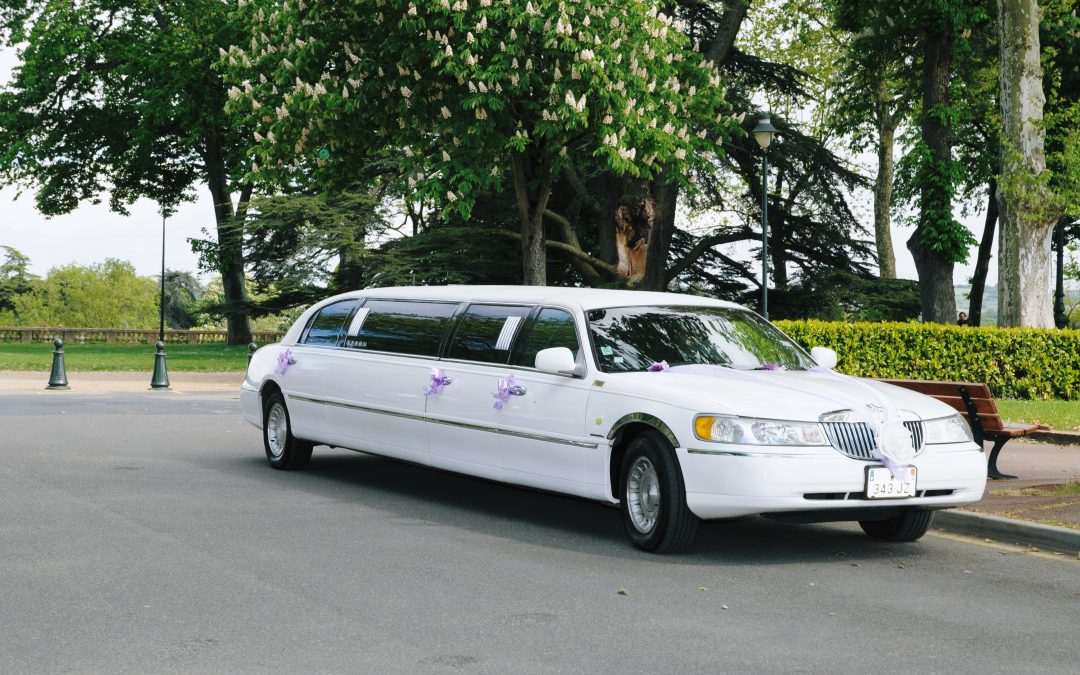 AMERICAN LIMOUSINE