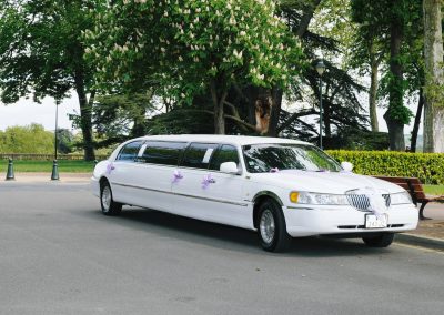 AMERICAN LIMOUSINE