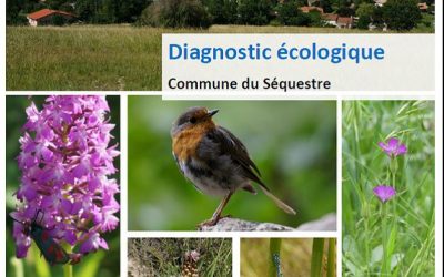 DIAGNOSTIC LIGUE DE PROTECTION DES OISEAUX