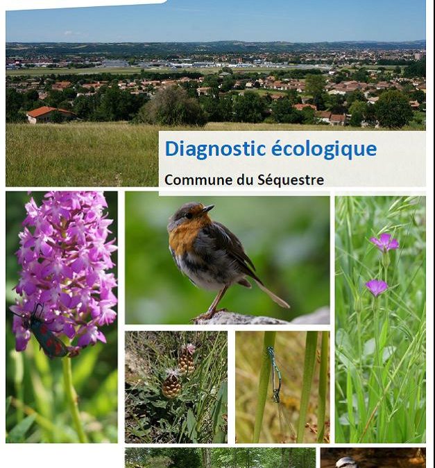 DIAGNOSTIC LIGUE DE PROTECTION DES OISEAUX