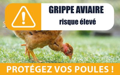 PROTEGEZ VOS POULES !